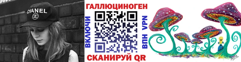 закладки  Тулун  Галлюциногенные грибы Psilocybe 